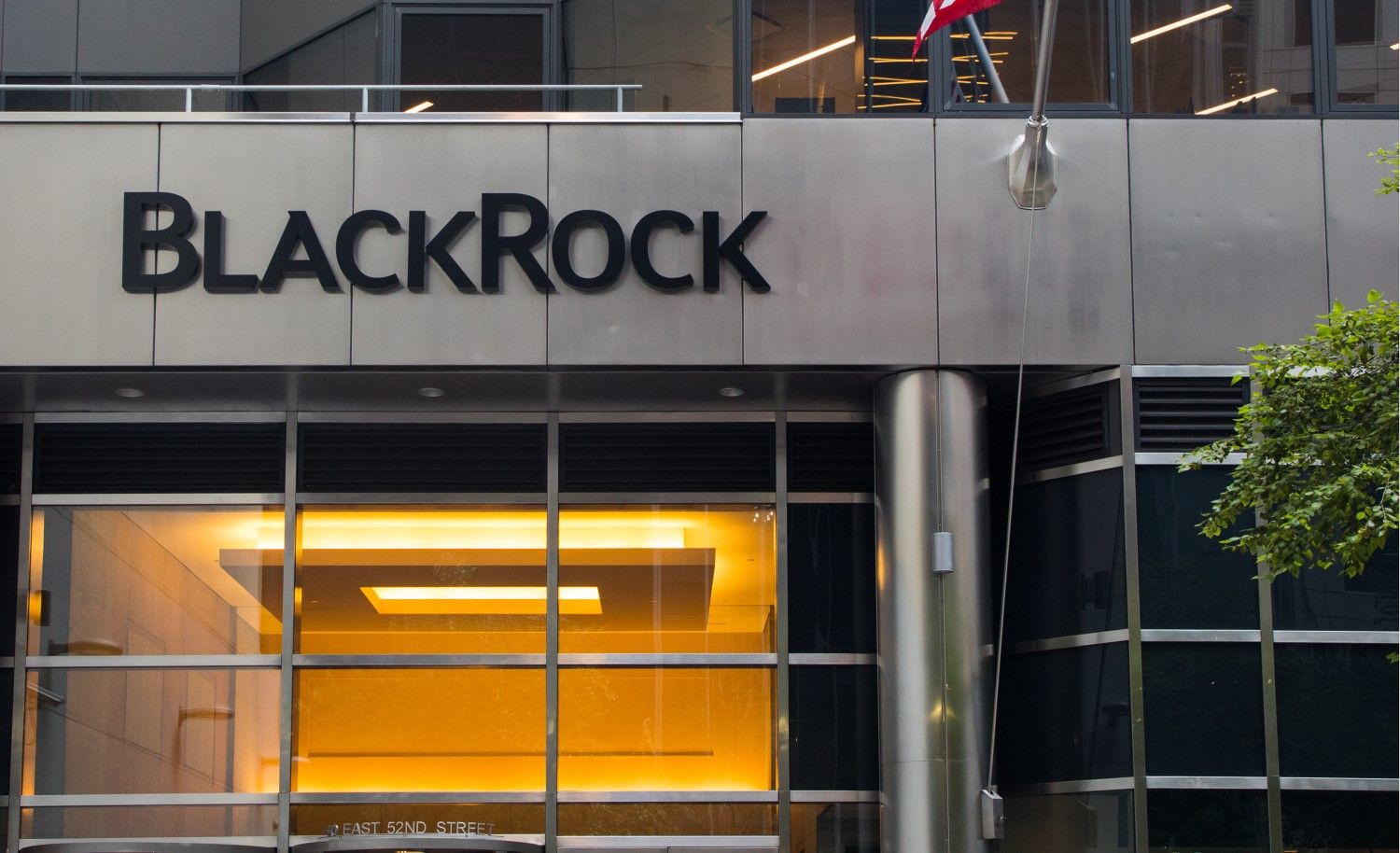 BlackRock Plans to Introduce Tokenized Shares for Its $150 Billion Treasury Trust Fund