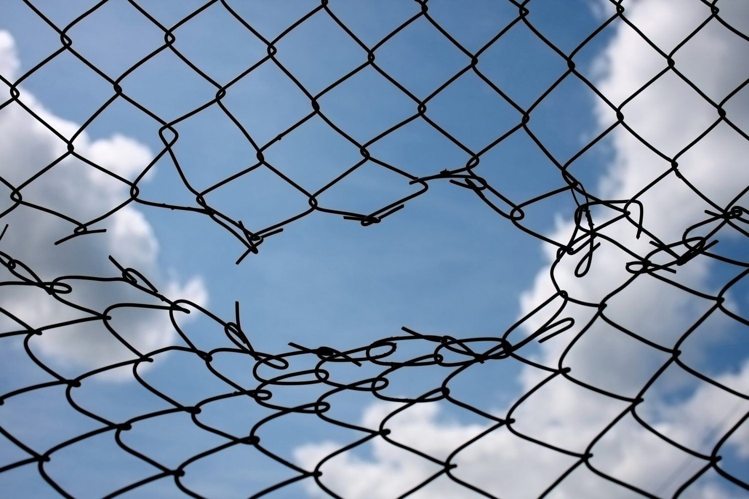 Bitcoin Investors Anticipate Breakout as Trade Discussions Shift