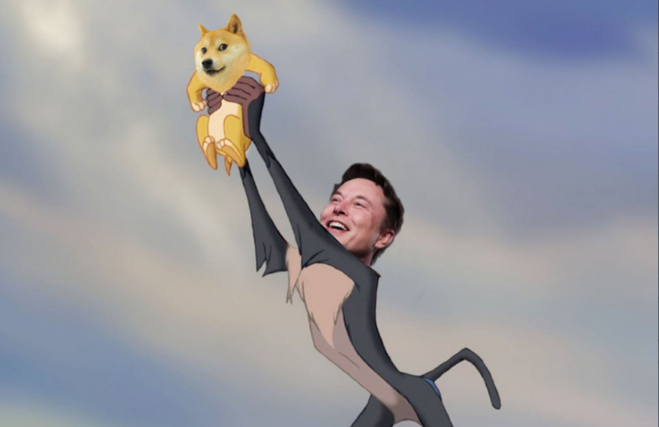 Dogecoin Remains Steady Despite Elon Musk's Denial of CEO Change Rumors