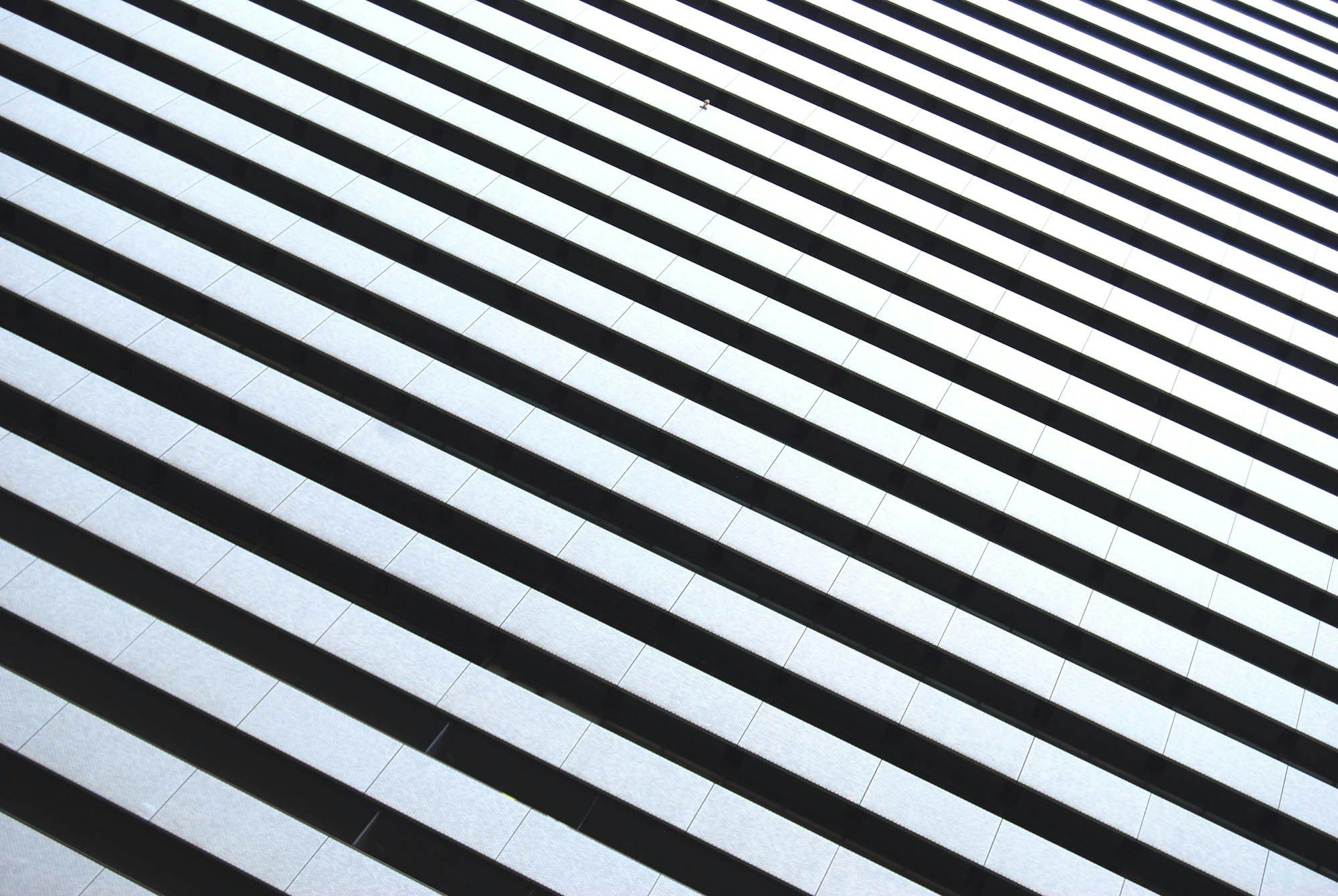 Stripe Launches Stablecoin-Powered Financial Services