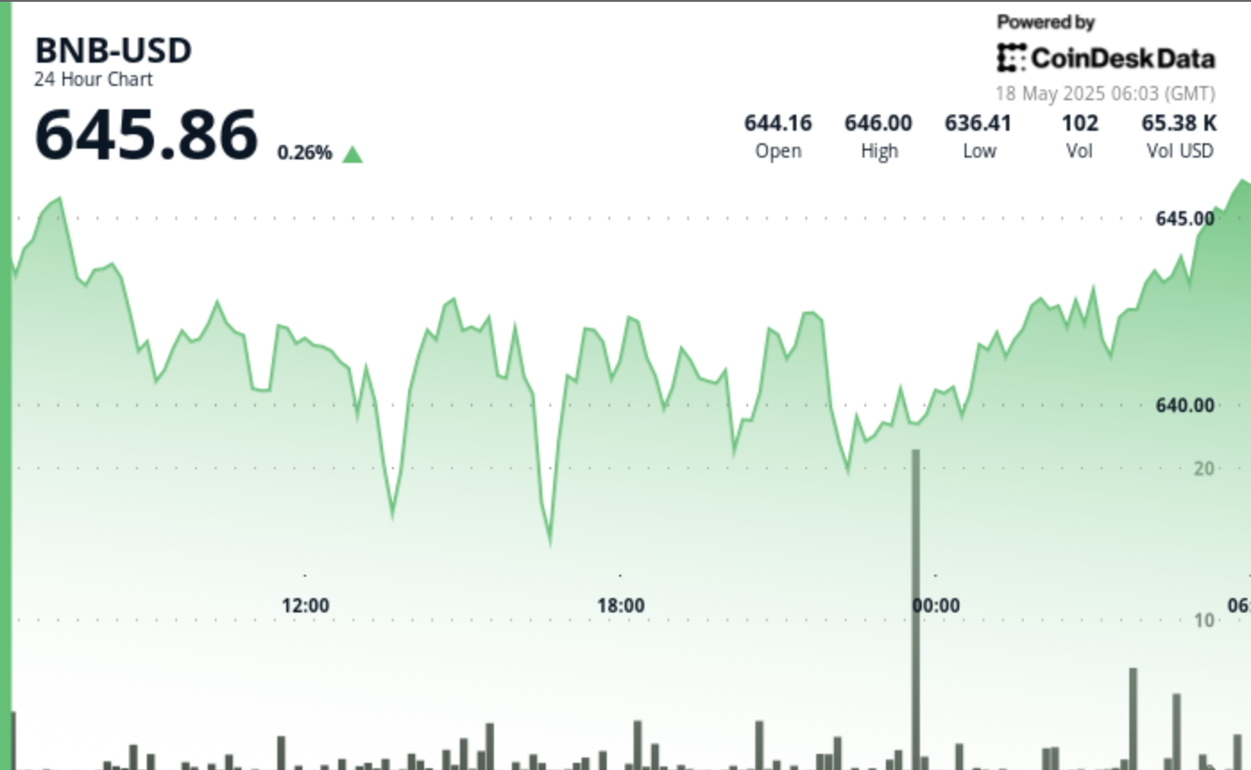 BNB Maintains Stability Amidst Global Economic Challenges