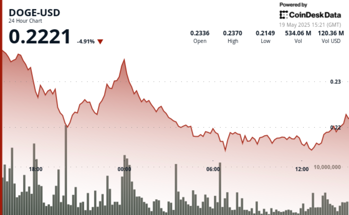Dogecoin Stabilizes Following Steep Decline as Buyers Emerge