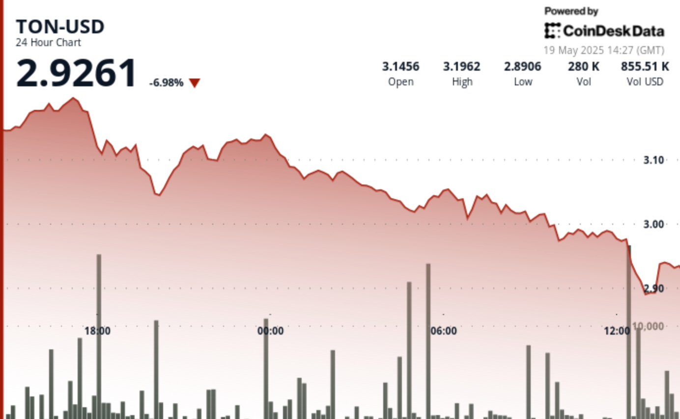 Toncoin (TON) Price Drops 8% Below Critical Support of $3.00