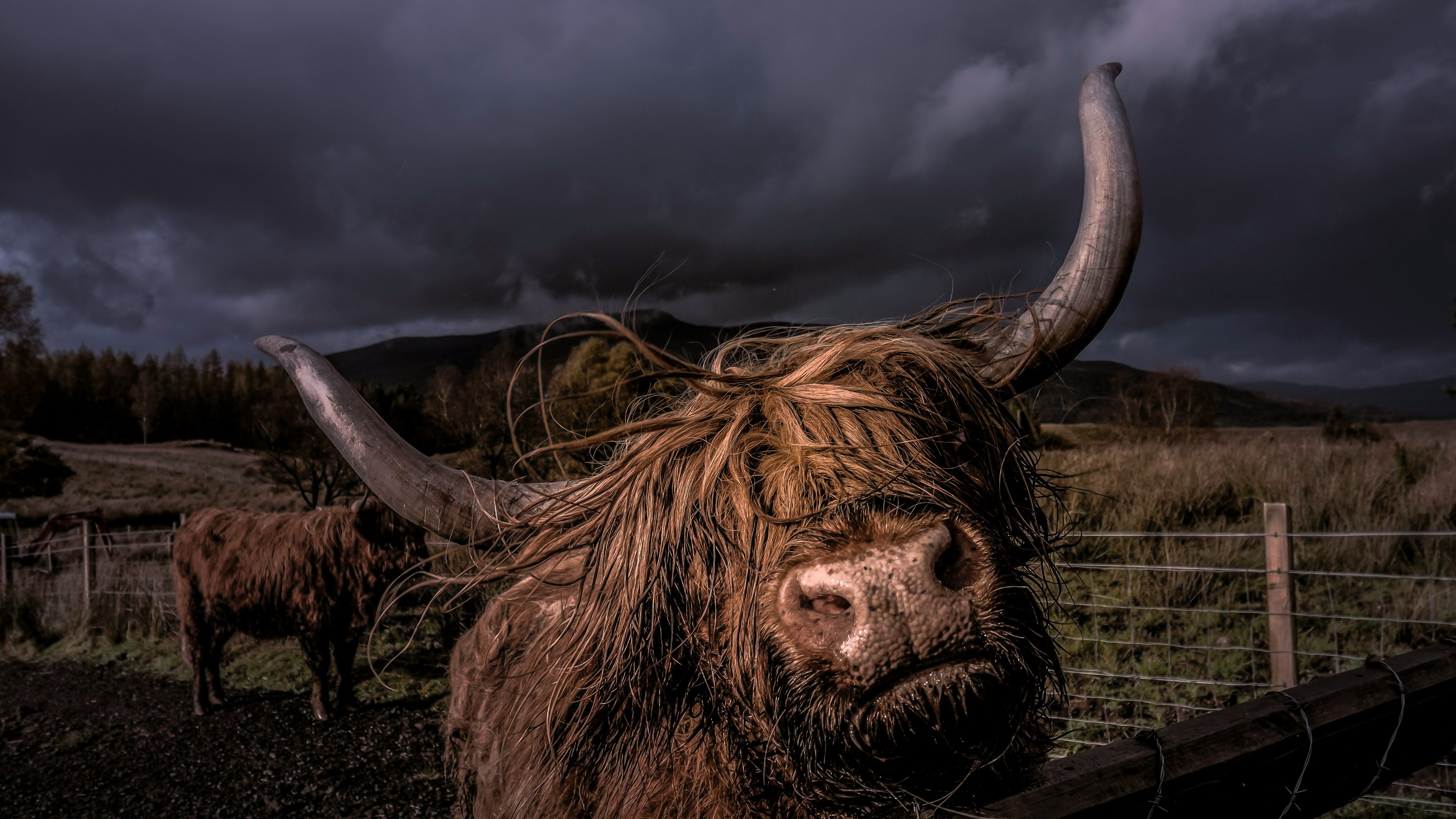 KULR Expands Bitcoin Holdings to Over 800 BTC with New $9M Acquisition