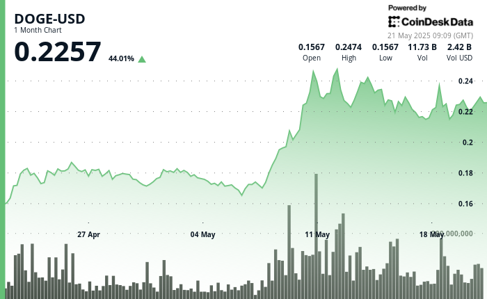 Dogecoin Displays Strength as Major Holders Sell $40 Million