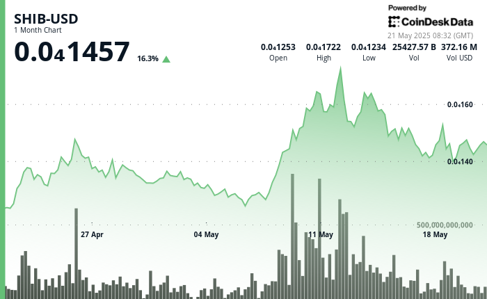 Shiba Inu's Price Surges Before Sharp Decline Amid Whale Activity
