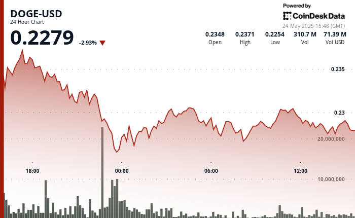 Dogecoin Drops Below $0.23 Yet Stabilizes with Buyer Support