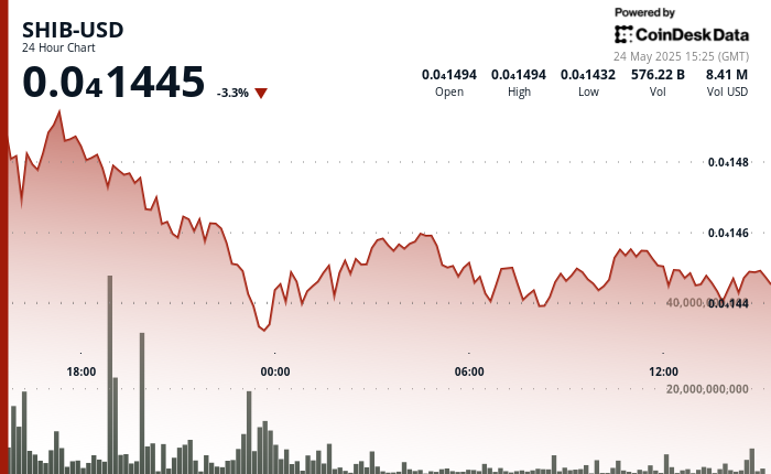 SHIB Experiences 5% Decline Yet Maintains Steady Support as Committed Investors Stand Firm