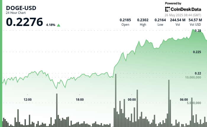 Dogecoin Surges as Large Investors Signal Renewed Confidence