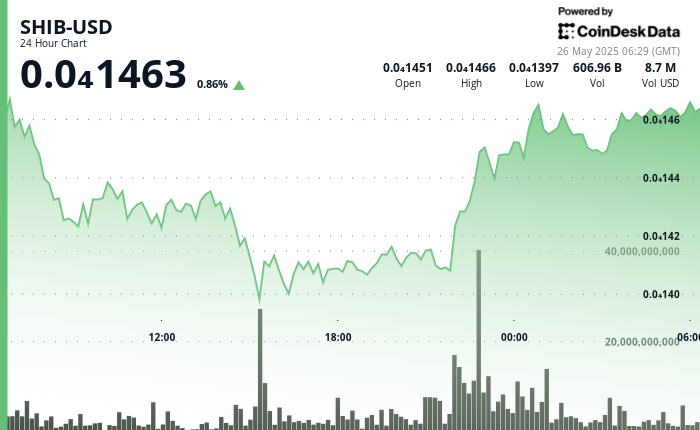 SHIB Rallies 5% After Afternoon Drop, Defying Economic Challenges