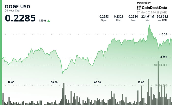 Dogecoin Surges by 5.5% Amid Increased Whale Accumulation
