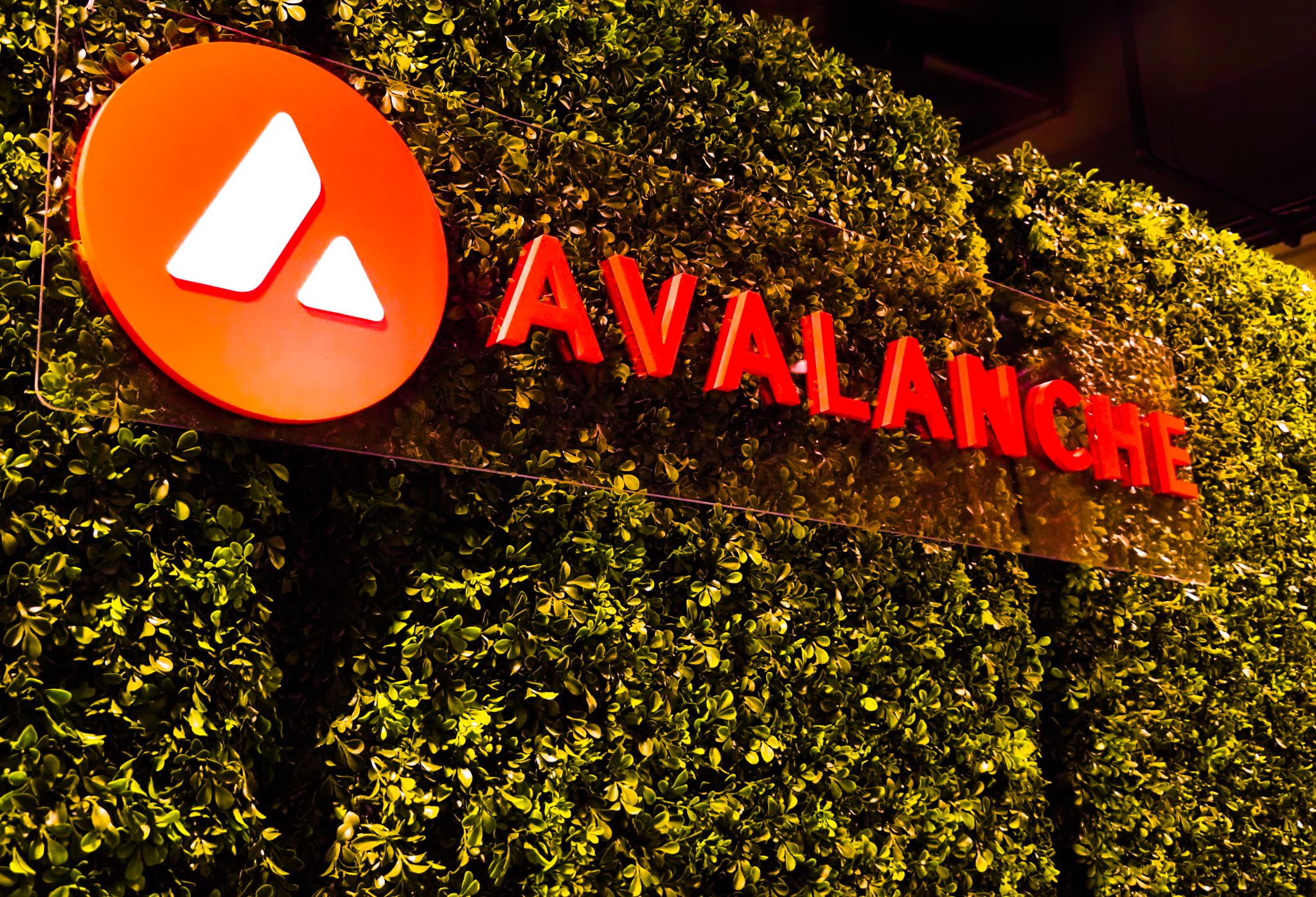 Bergen County, New Jersey to Digitize $240 Billion in Property Deeds Using Avalanche Blockchain