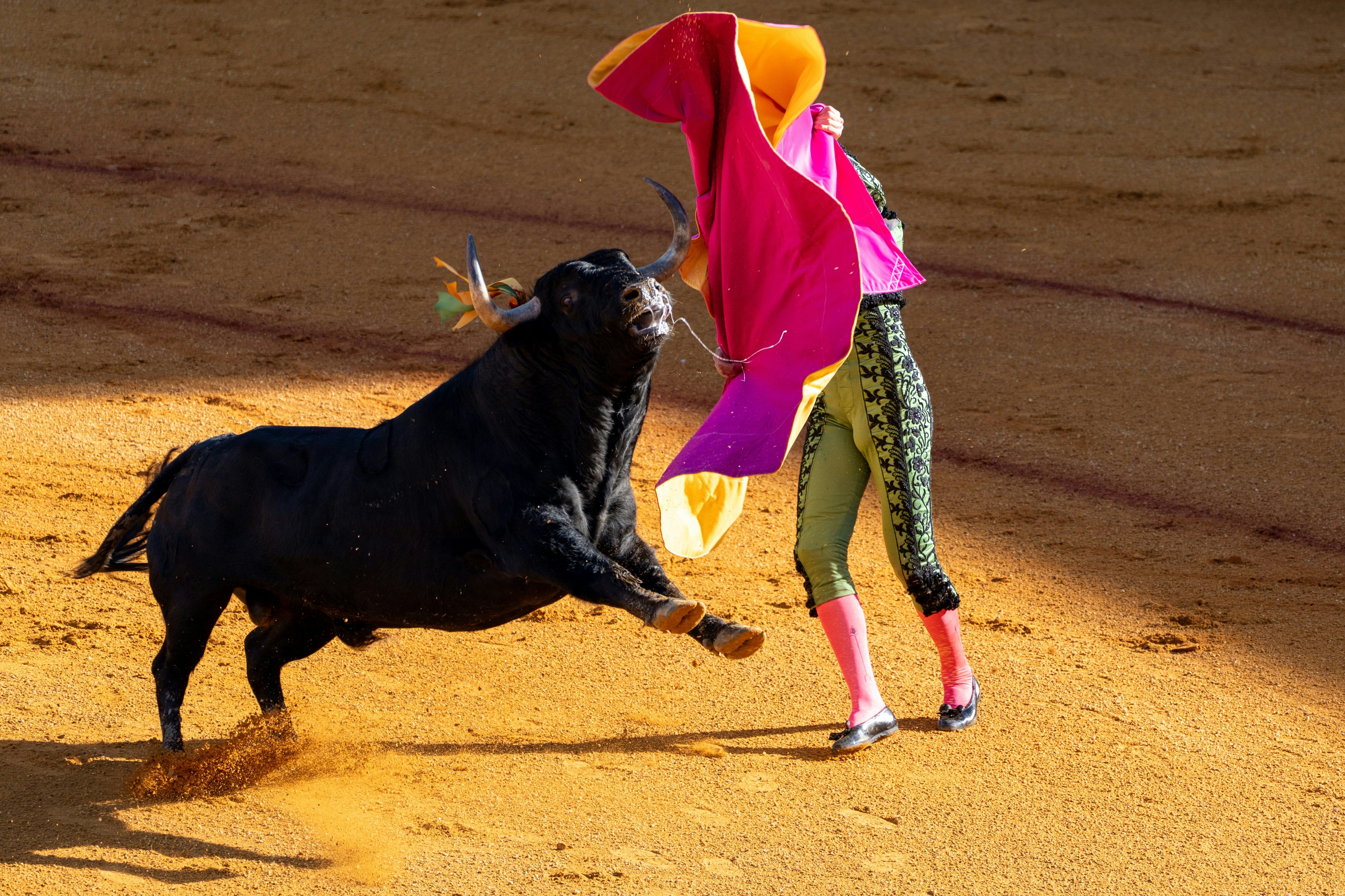 Matador Technologies Set to Invest in Indian Firm HODL Systems