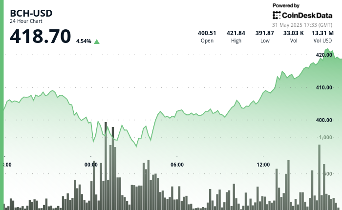 Bitcoin Cash Surges 6.4% as Buyers Rally Around Key Support Level
