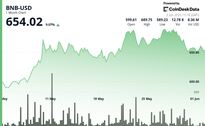BNB Challenges $660 Resistance Amid Bearish Trends
