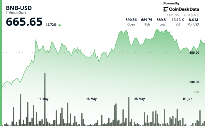 BNB Sees Gains Amid Regulatory Clarity and Increased Trading Volume
