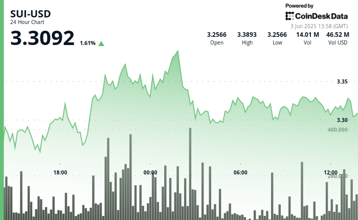 SUI Token Climbs 5% Before Settling Amid Market Fluctuations