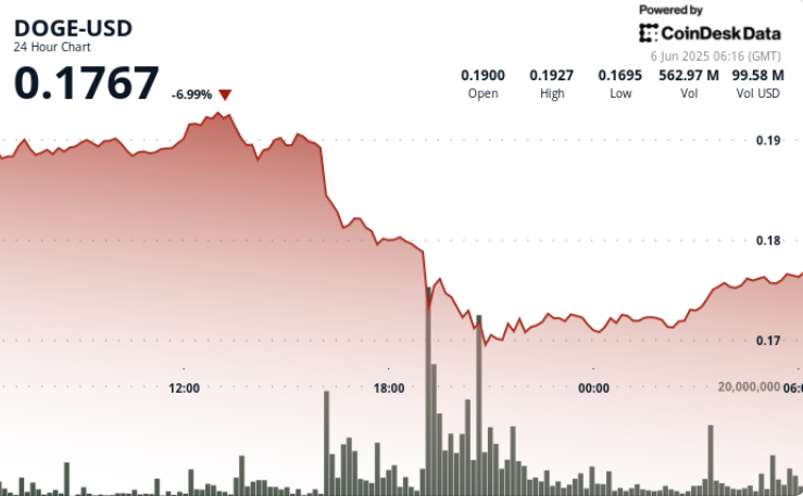 Dogecoin Sees a 12.5% Drop Amid Tensions Between Trump and Musk