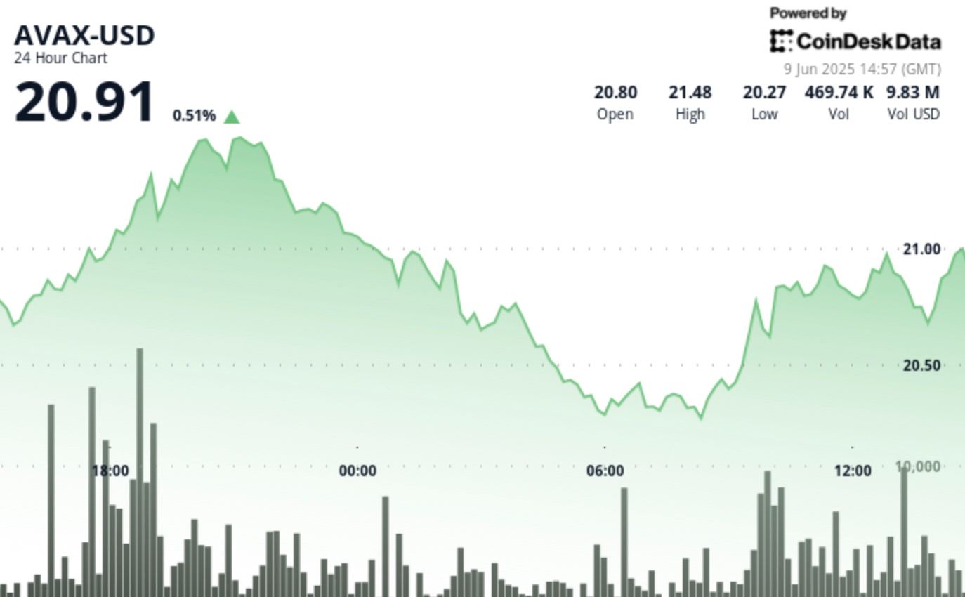 Avalanche's AVAX Establishes Support Amidst Price Fluctuations