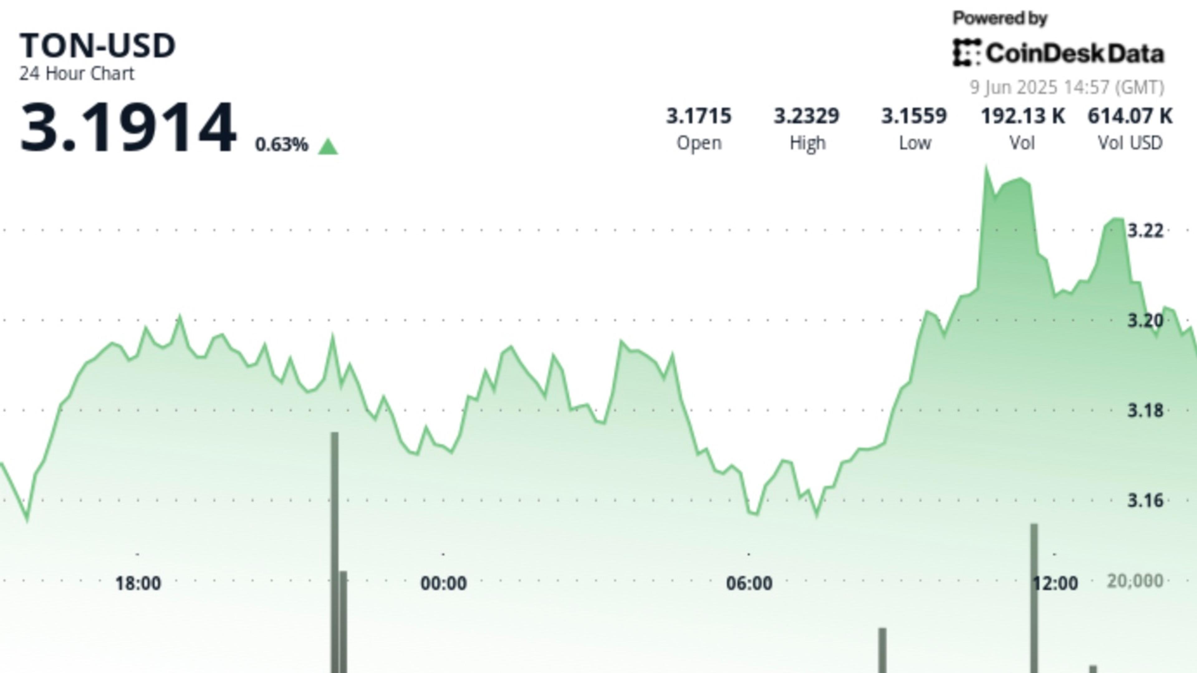TON Rises 2.7% Amid Heavy Volume Before Notable Pullback