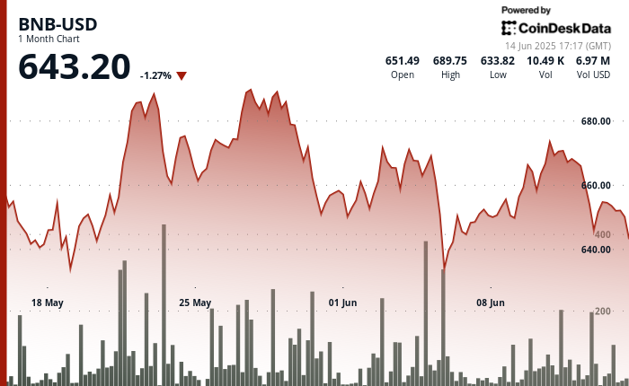 BNB Price Holds Steady Above Critical Support Level Amid Israel-Iran Tensions