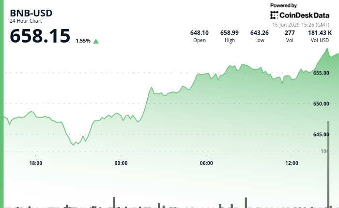 BNB Rises as Transaction Volume Skyrockets, DEX Trading Exceeds $100 Billion