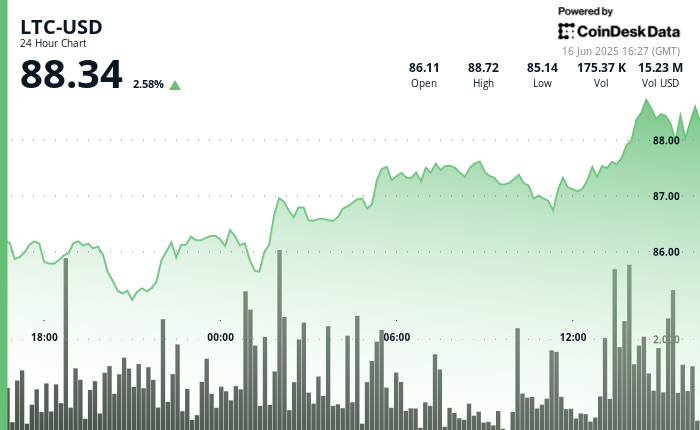 Litecoin Surges Over 2% as Whale Holdings Increase Amid ETF Hopes