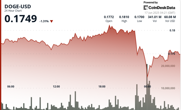 Dogecoin Exhibits Strong Price Momentum Amid Market Uncertainty