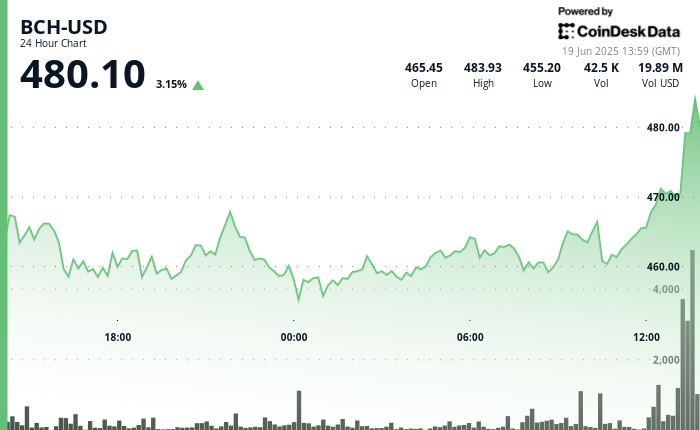 Surge in Bitcoin Cash to $480 Following Significant Trading Volume Increase