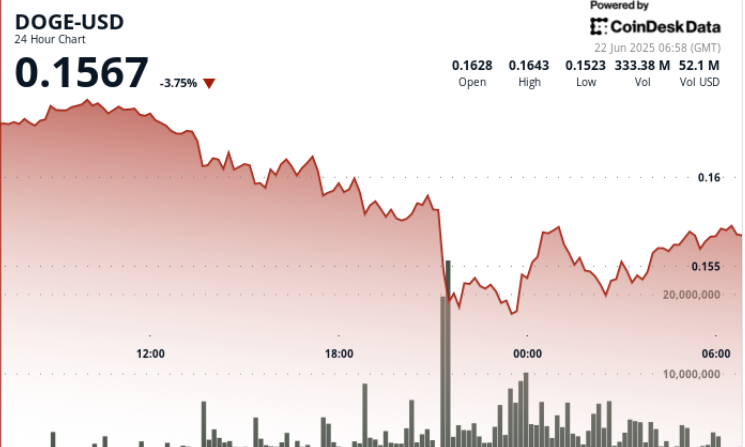 Dogecoin Experiences a Decline of 8% Yet Shows Signs of Recovery