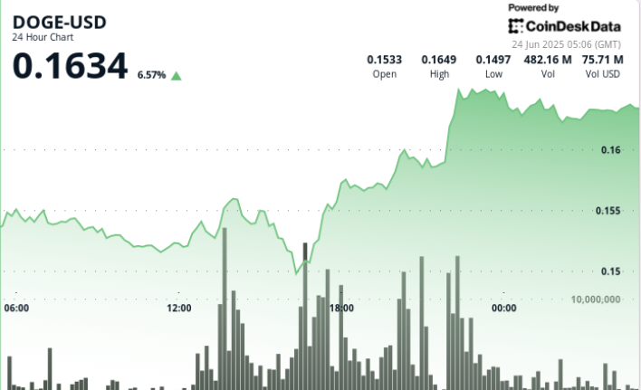 Dogecoin Rallies 7% Amidst Market Volatility