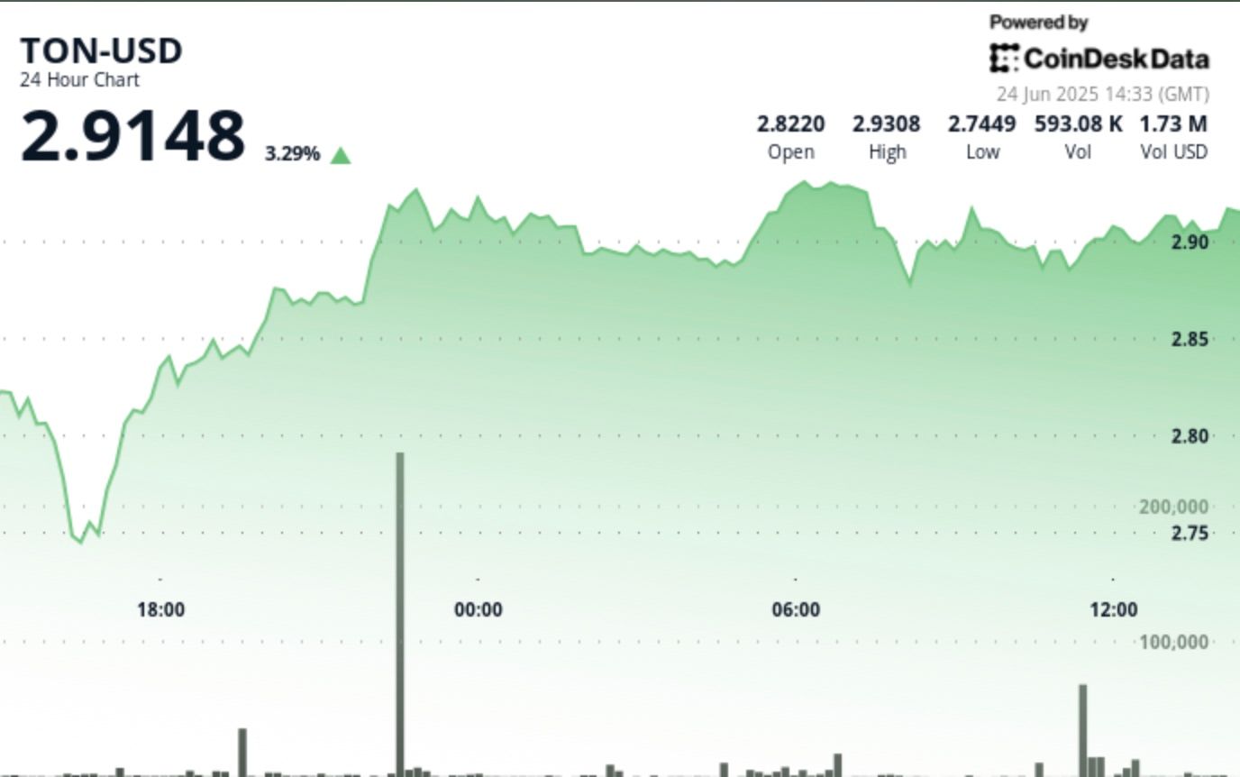 TON Gains 3% After Turbulent Session, Establishing New Support Threshold