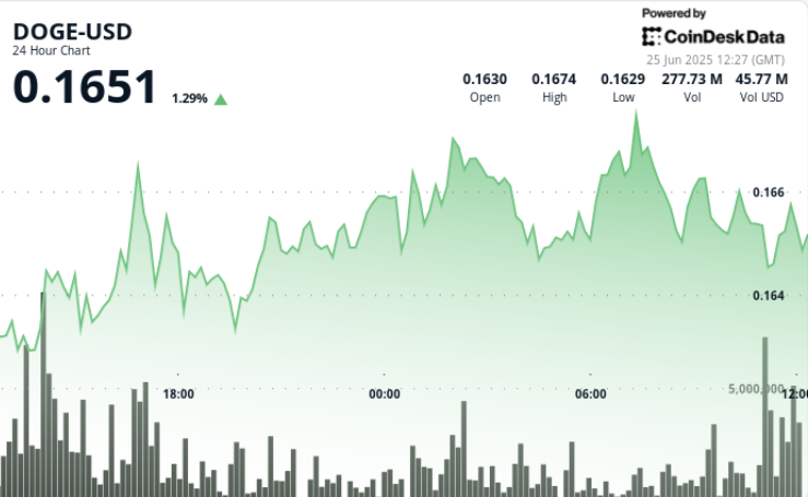 Dogecoin Surges as Market Bullishness Breaks Resistance at 16 Cents
