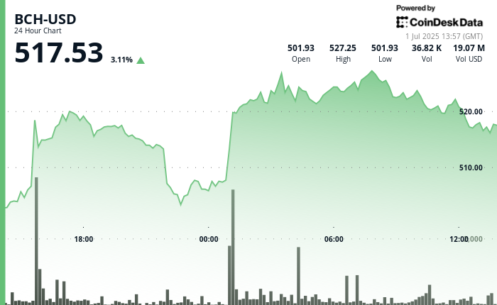 Bitcoin Cash Rises 5%, Signals Bullish Trend Against BTC