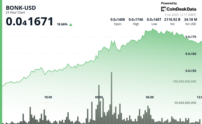 Shiba Inu's Bullish Turn and BONK's Rise Amid ETF Buzz