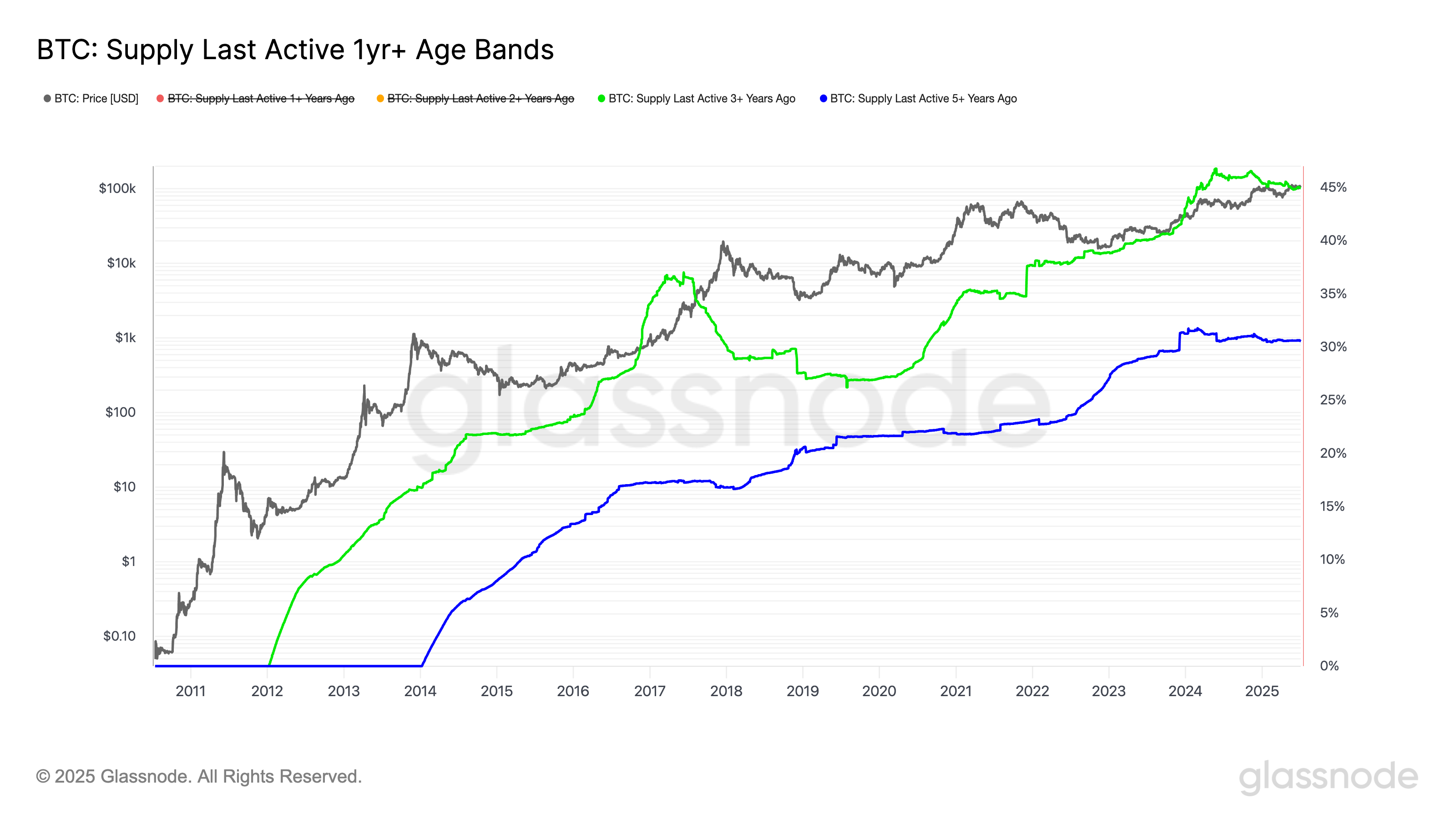 Bitcoin Holders Show Unwavering Commitment in Current Market