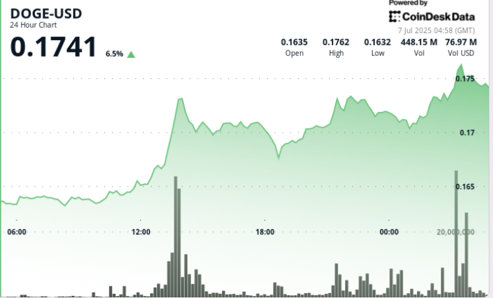 Surge in Dogecoin Trading Fueled by Elon Musk's Political Venture