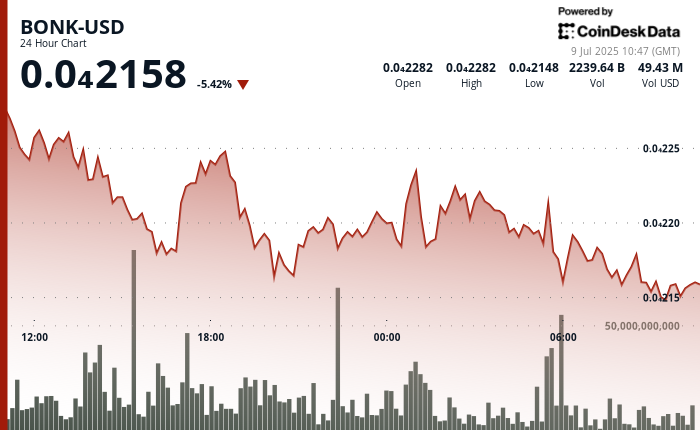 BONK Declines 6% Despite Bonk.fun's Growing Influence