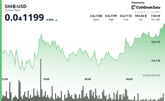 Shiba Inu Futures Surge as Whale Activity Meets Price Recovery