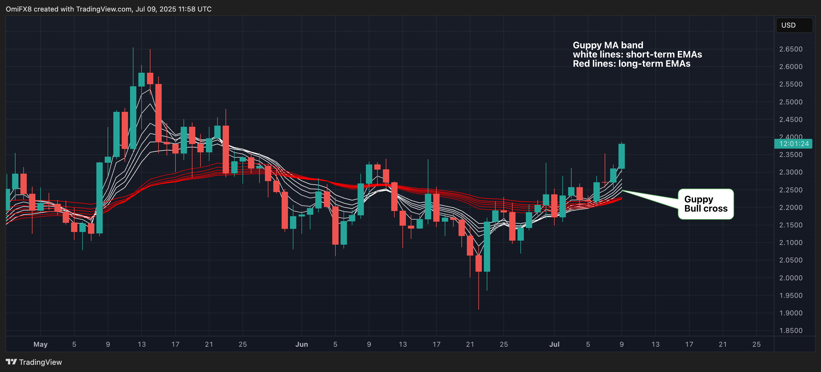 XRP Reaches 45-Day Peak Following Bullish Guppy Indicator Insights