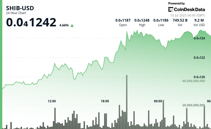 Shiba Inu Surges Against Bitcoin but Struggles Against Dogecoin