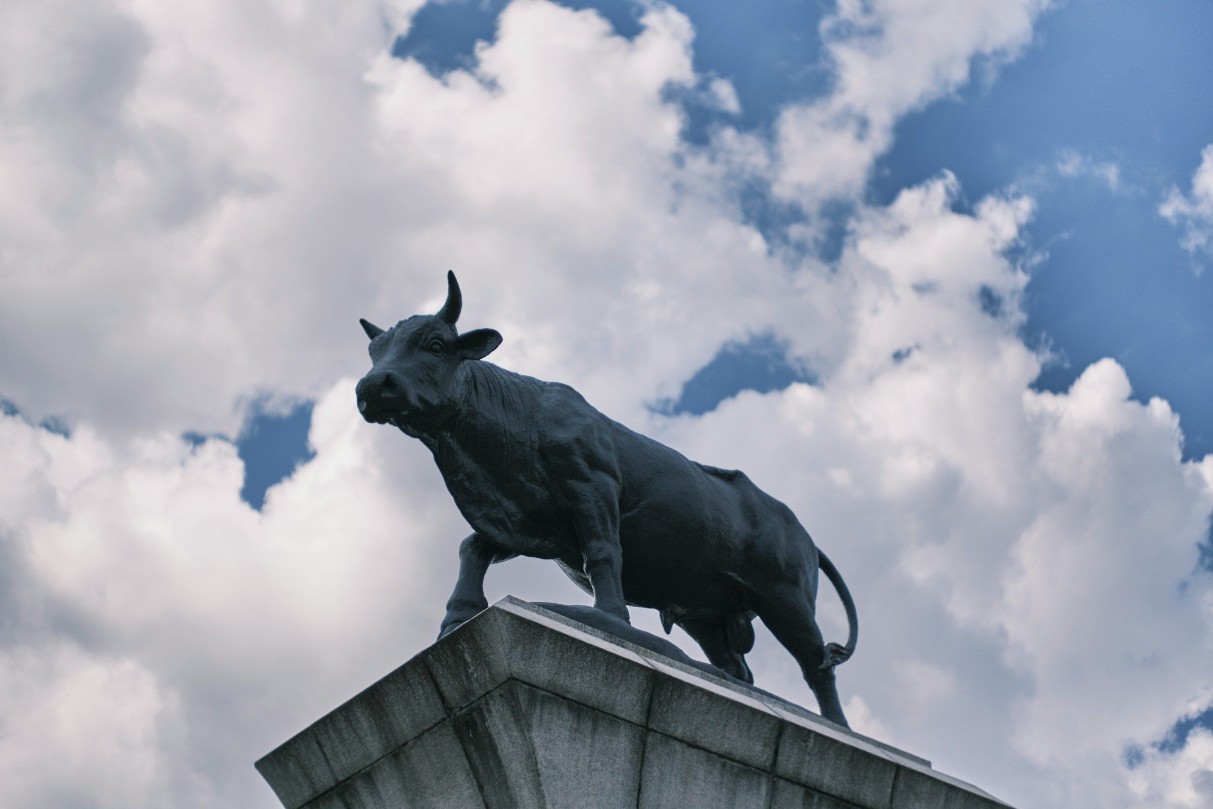 Bitcoin Reaches New Heights, Impacting Crypto Stocks Variously