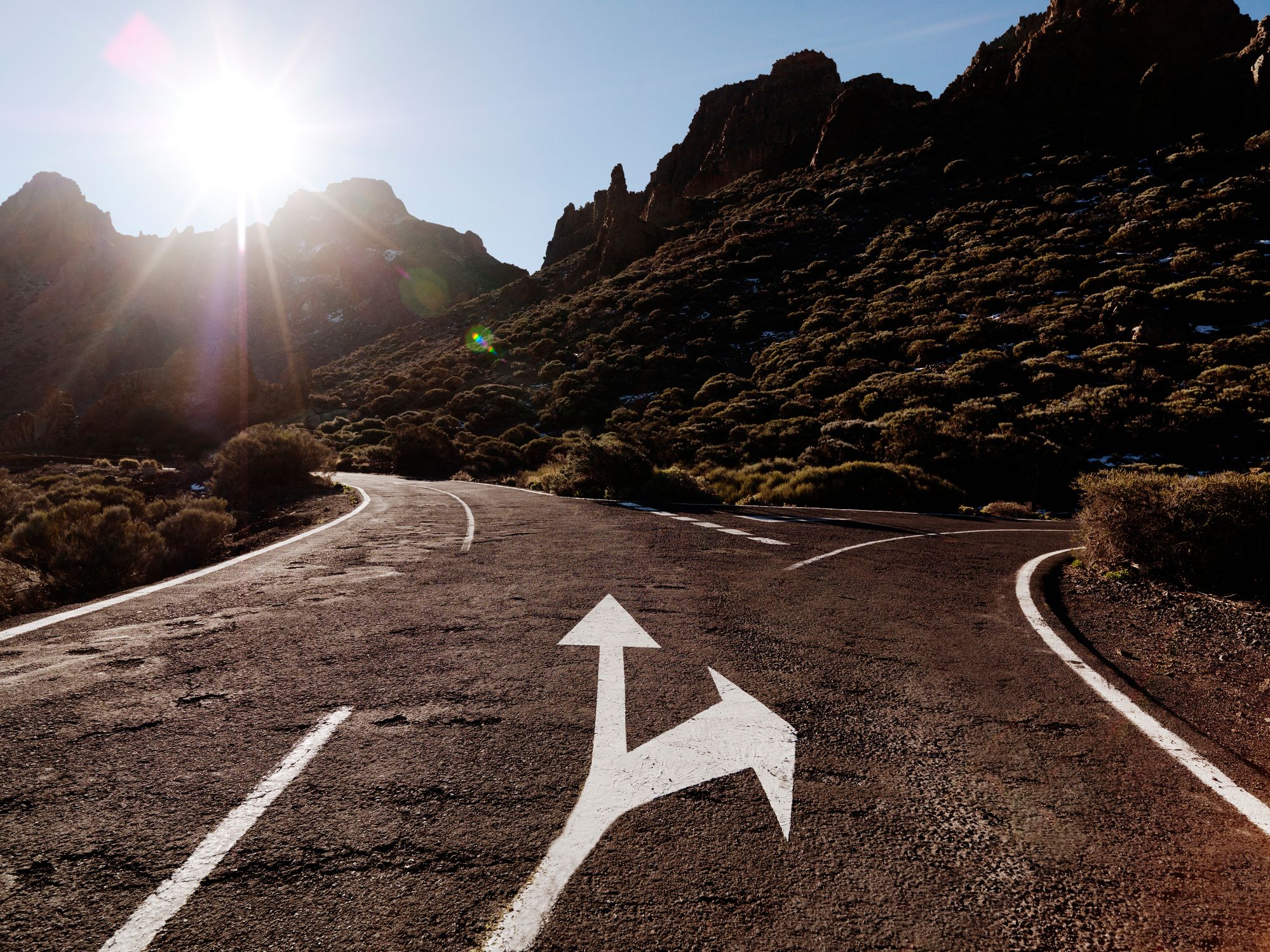 Divergence in Crypto Markets: Institutions Lean Towards BTC and ETH While Retail Explores Newer Altcoins