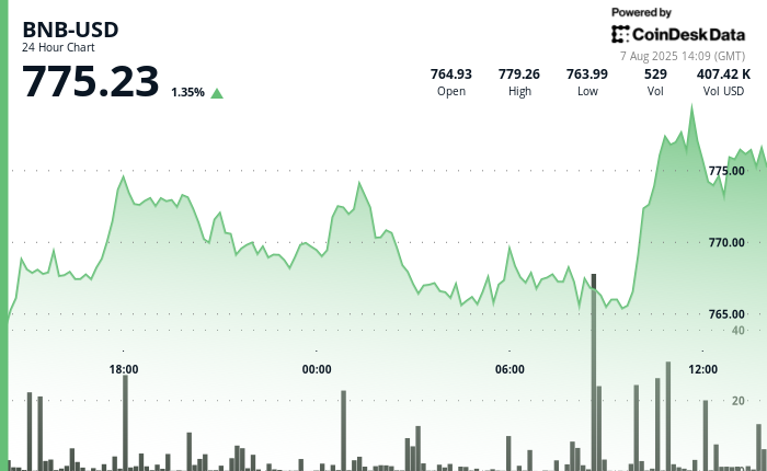 BNB Surges Before Falling Back Following $500 Million Treasury Initiative