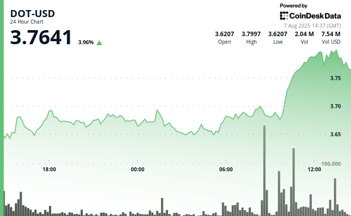 Polkadot Surges Up to 4% Amid Strong Institutional Activity