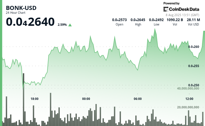 BONK Memecoin Surges, Approaches Key Resistance Level