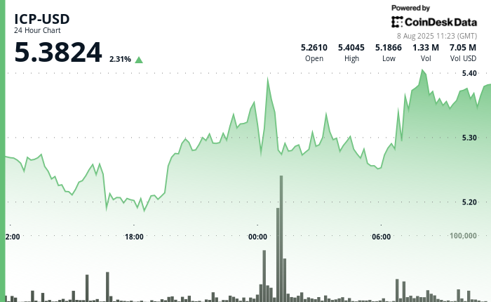 Internet Computer Surge: A Look at Recent Volume Increases and Price Movements