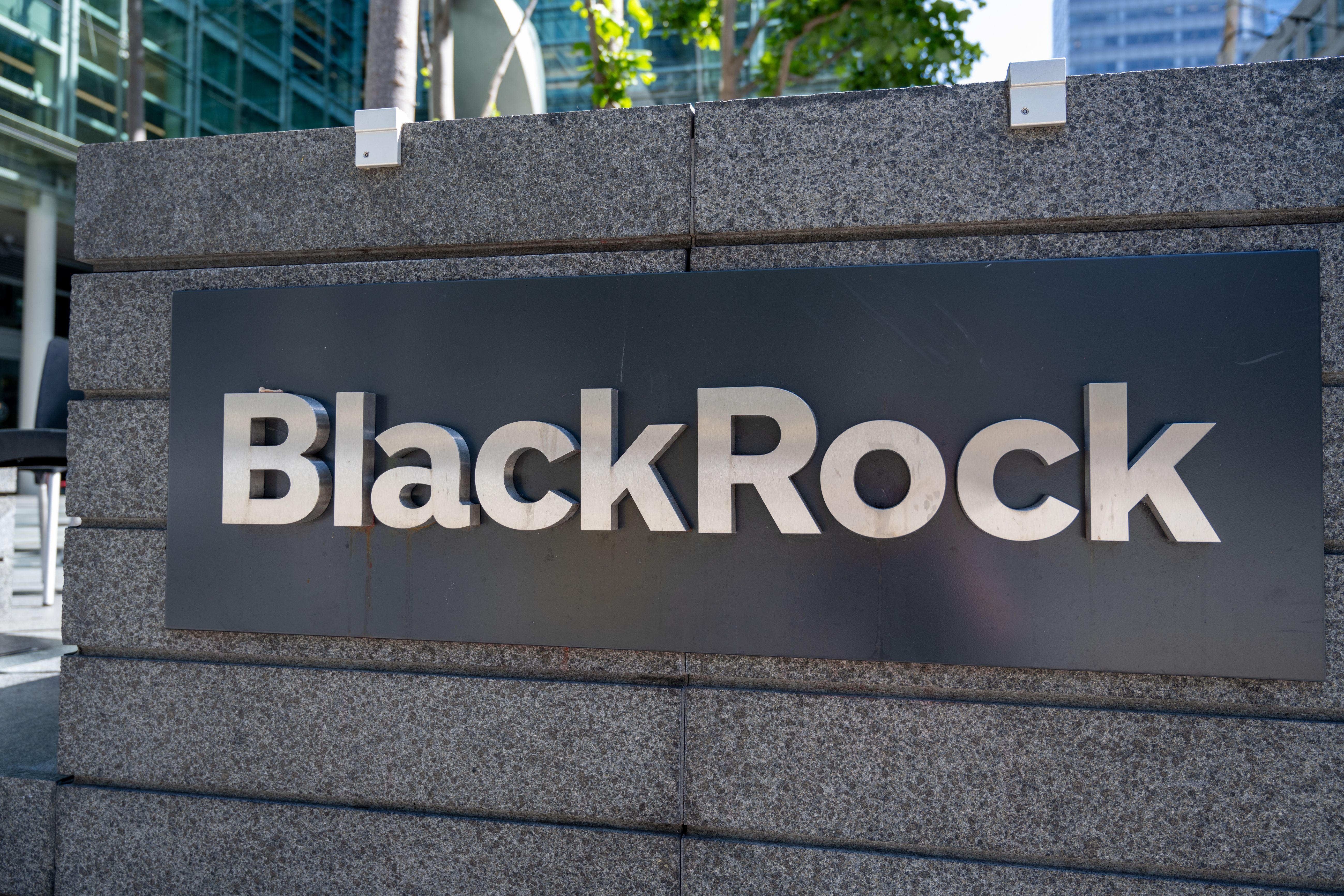 Reasons for BlackRock's Delay in Filing U.S. Spot XRP ETFs