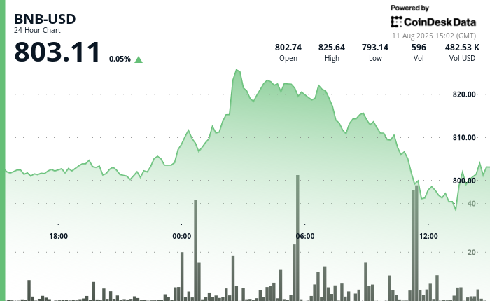 BNB Sees 4% Fluctuation in Recent 24 Hours, Testing the $800 Mark