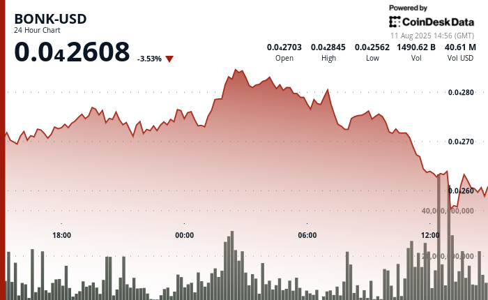 BONK Price Plummets 8% After August Surge